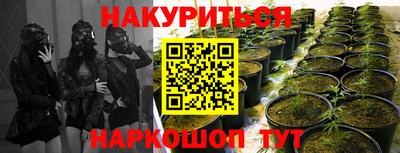 спайс Гусь-Хрустальный