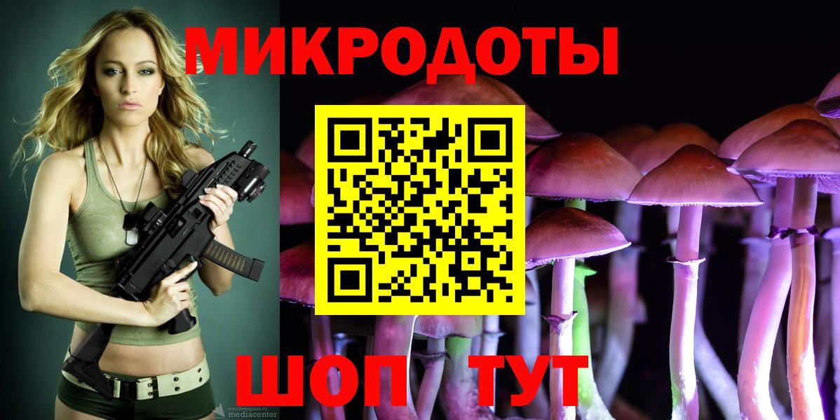 Псилоцибиновые грибы мицелий Кириши